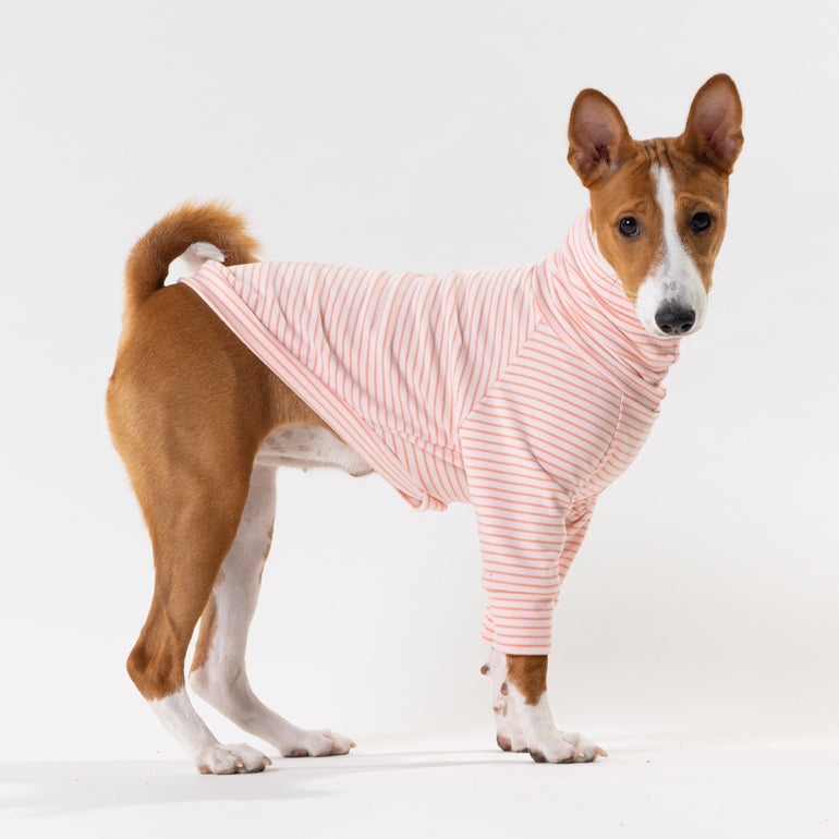 Buttercup - Pink & Pink Stripe