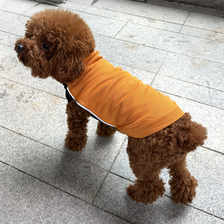 Dobby Cooling / Sun Protection T-Shirt - Ginger