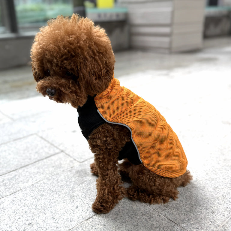 Dobby Cooling / Sun Protection T-Shirt - Ginger