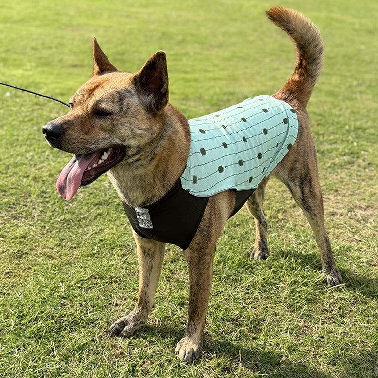 Dobby Cooling / Sun Protection T-Shirt - Mint Hedgehog