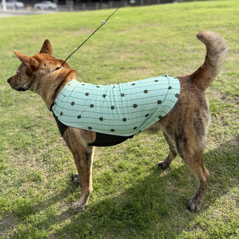 Dobby Cooling / Sun Protection T-Shirt - Mint Hedgehog