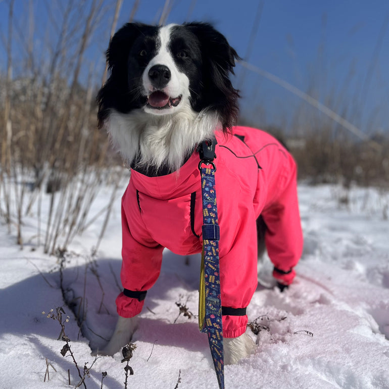 Elsa 3M Thinsulate Wintersuit - Pink