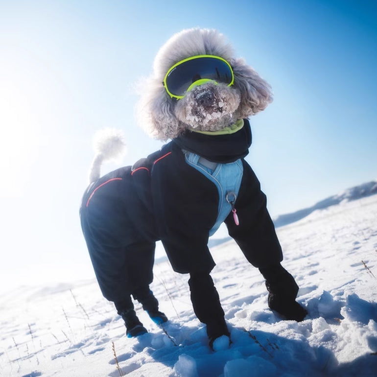 Elsa 3M Thinsulate Wintersuit - Black