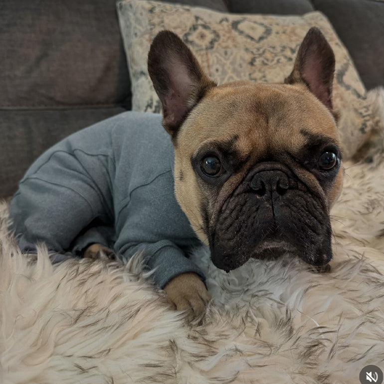 Gumdrop Onesie - Grey