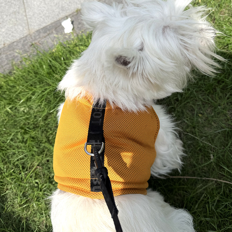 Hedwig Cooling Vest & Harness - Ginger