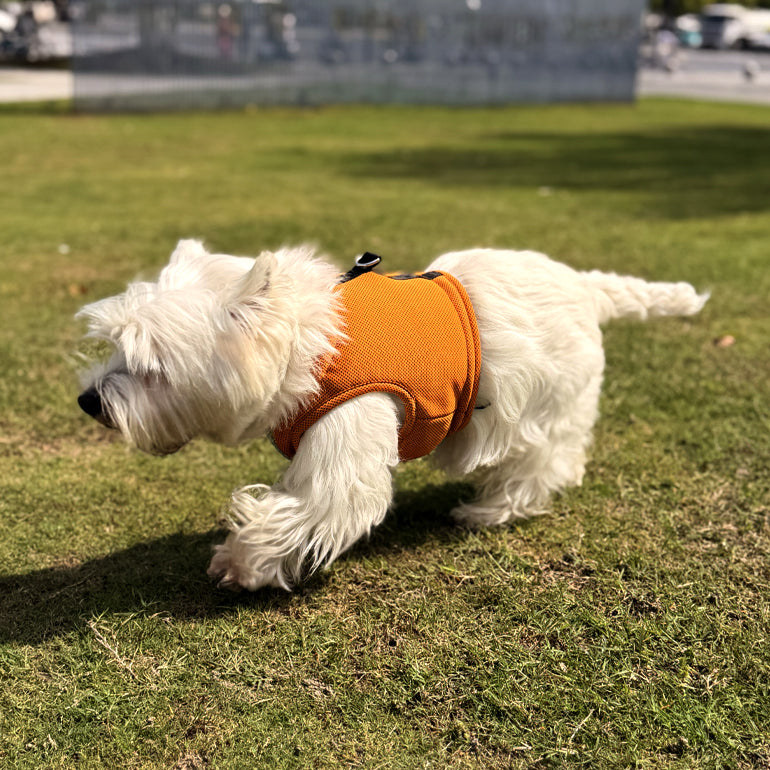Hedwig Cooling Vest & Harness - Ginger