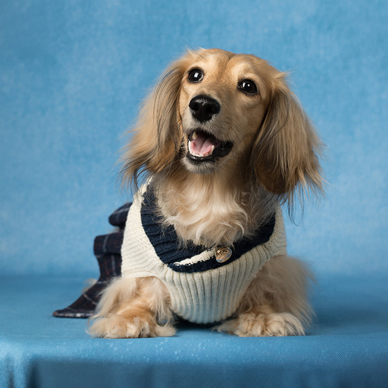 JK Sweater - Ivory / Navy Skirt