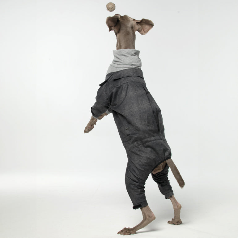Royal Jumpsuit - Grey Herringbone