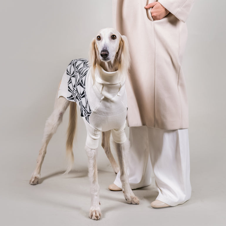 Turtleneck Sweater - Frisbee White & Black