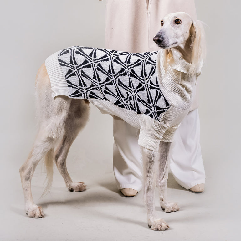 Turtleneck Sweater - Frisbee White & Black