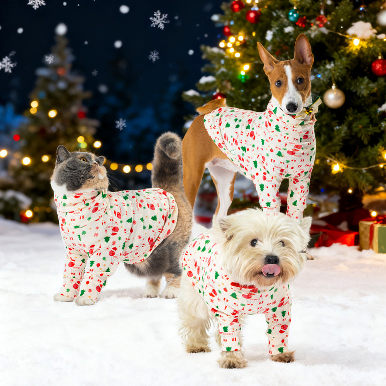 Buttercup - Spacedog Christmas