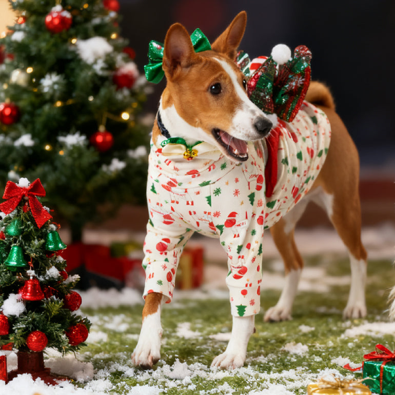 Buttercup - Spacedog Christmas