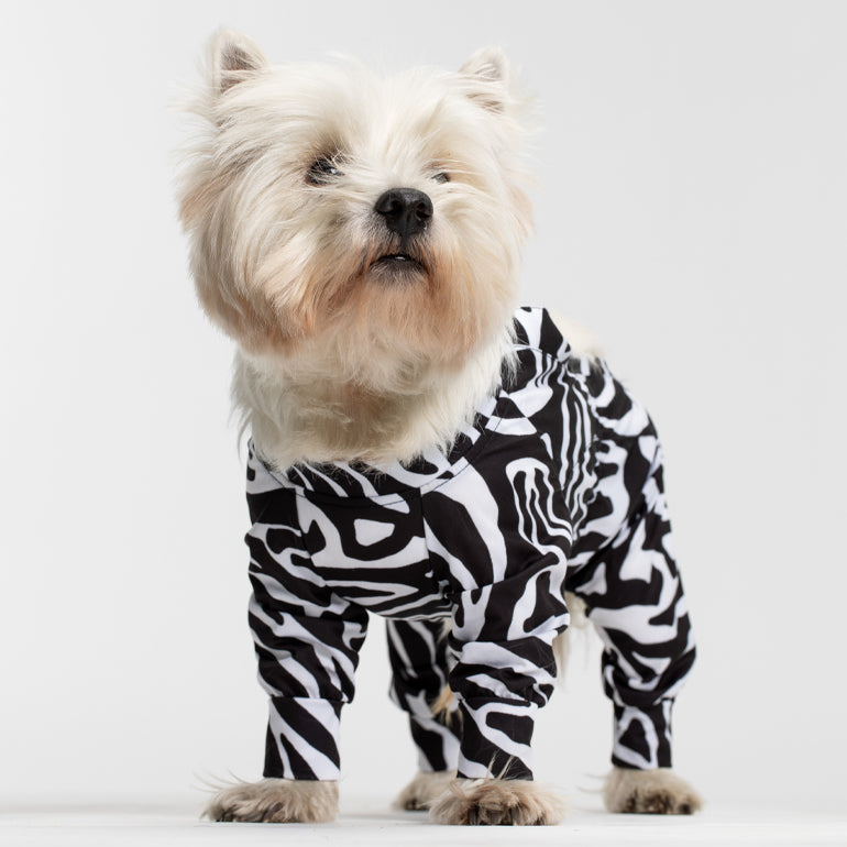 Bibi Belly Protecting Breathable Onesie - Zebra
